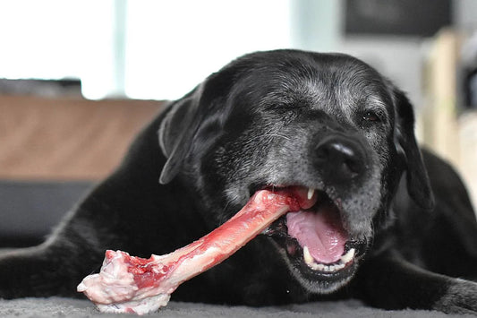 Dog Bones $3.00 Each